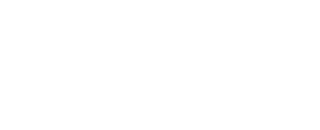 Wanderers logo
